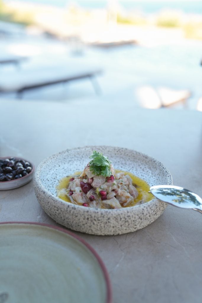 Dish with pomegranate seeds and herbs in a speckled bowl at NŌS The Restaurant