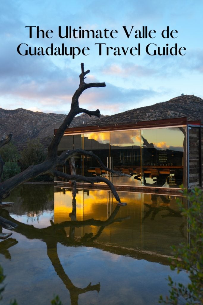 Valle de Guadalupe guide graphic with glass-walled building at dusk