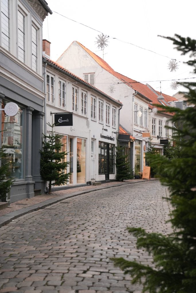 Boutiques lining a cobblestone street in Aarhus' Latin Quarter