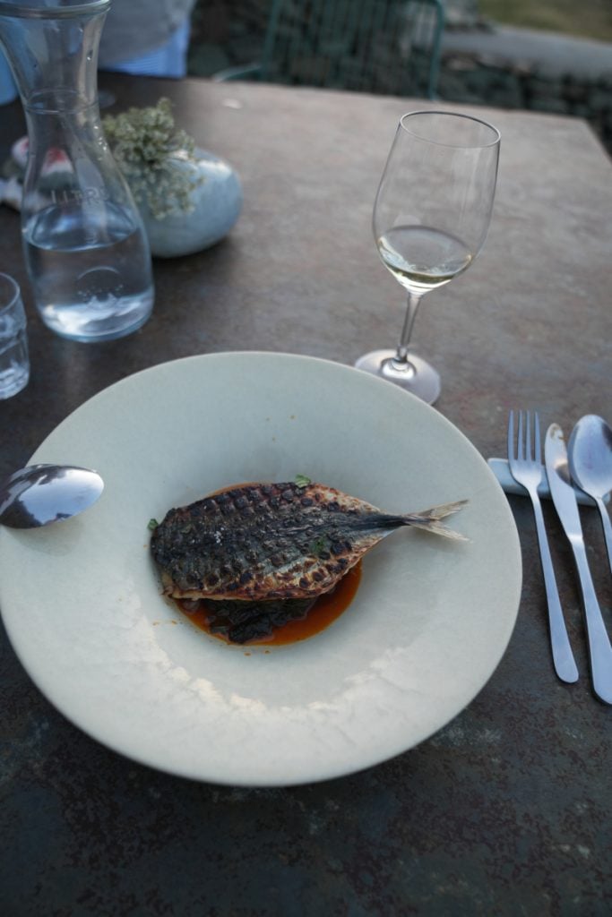 Grilled fish with greens and sauce at Cantina