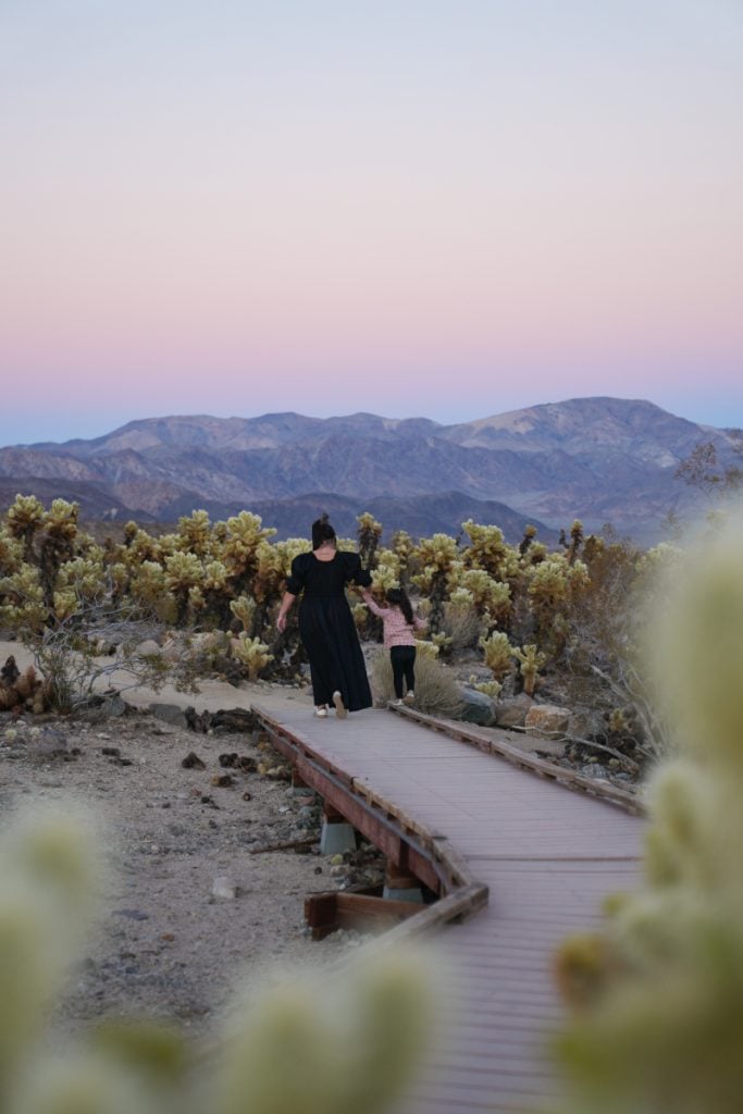 Adult and child on a boardwalk through the Cholla Garden in Joshua Tree National Park