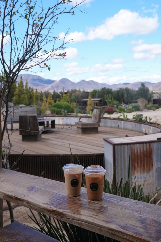 Two iced coffees overlooking the gardens at Das Cortez