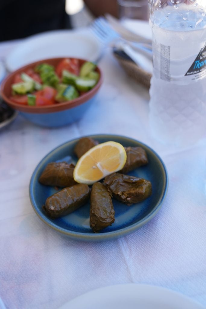 Dolmas with lemon and cucumber-tomato salad