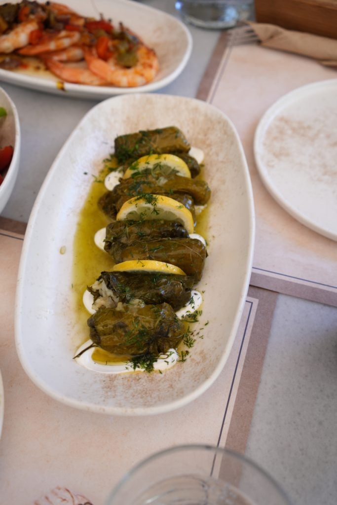 Dolmas garnished with lemon and dill