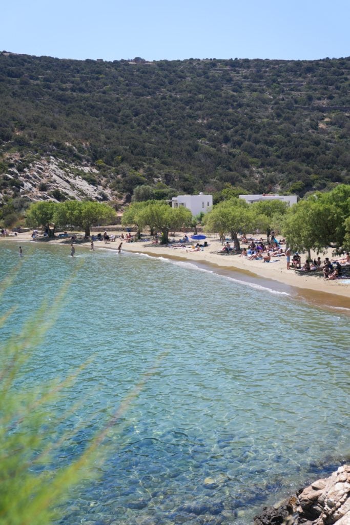 Clear shallow water along a tree-lined beach near Faros.