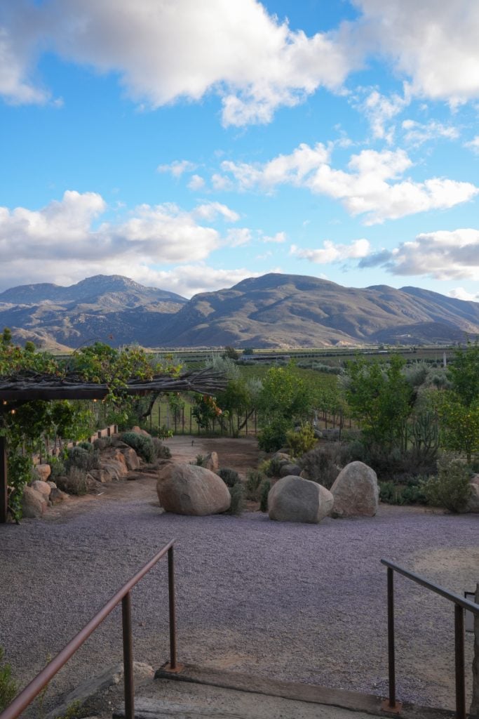 Mountain view over landscaped grounds at Fauna