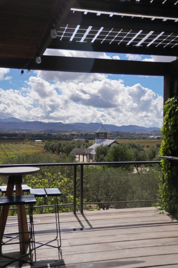 Rooftop terrace overlooking vineyards at Finca La Carrodilla