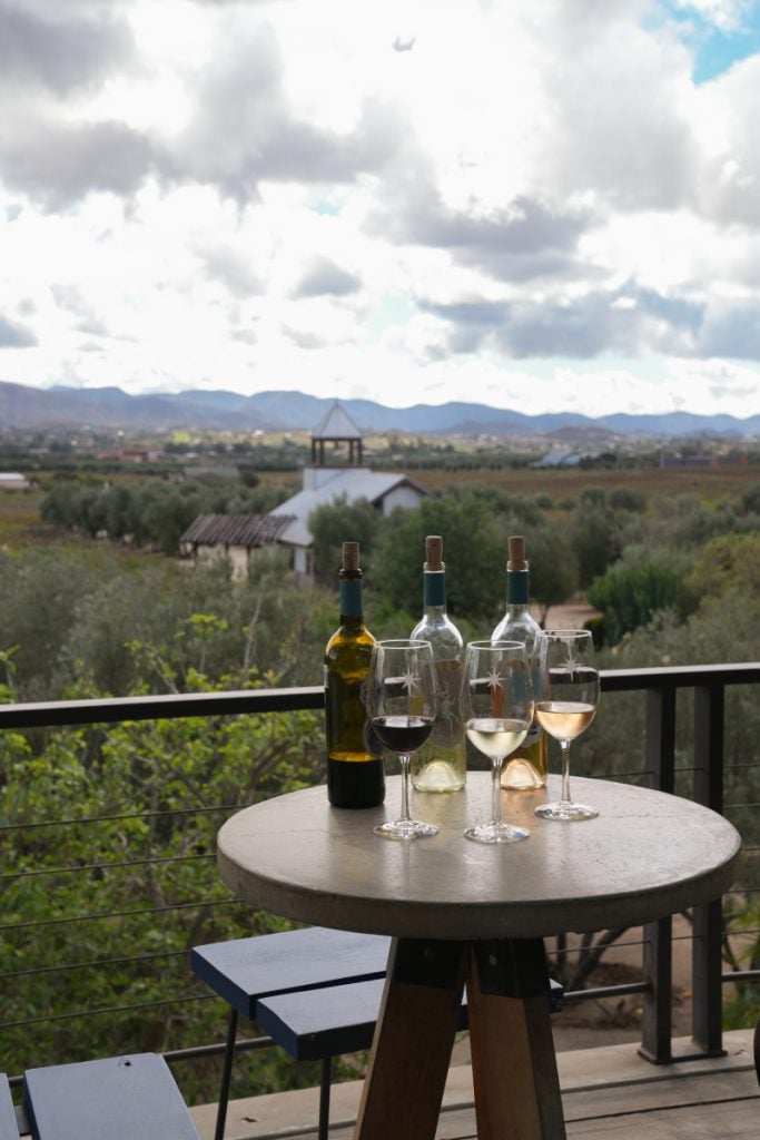 Wine tasting overlooking vineyards at Finca La Carrodilla