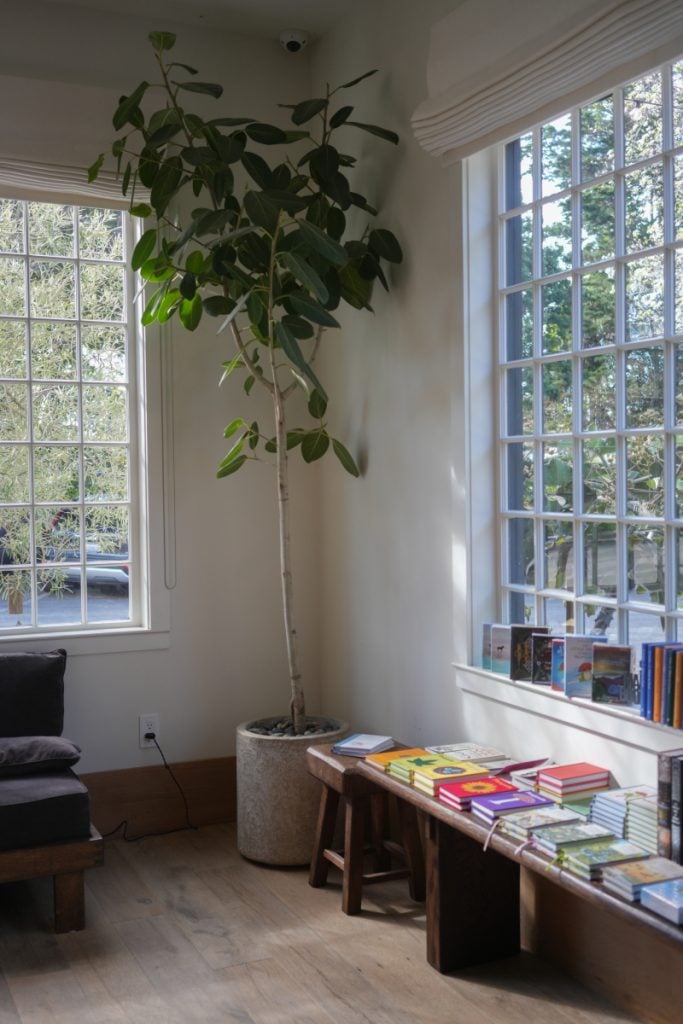Books displayed beside tall windows and a potted tree at Godmothers bookstore