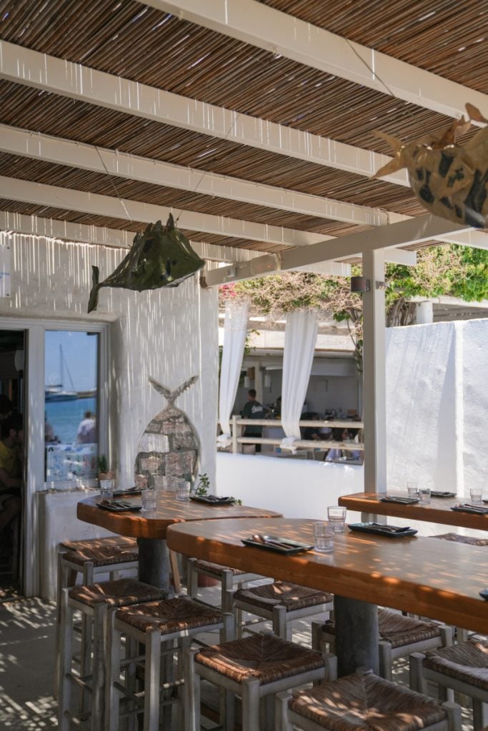 Fish sculptures above wooden tables at Omega3