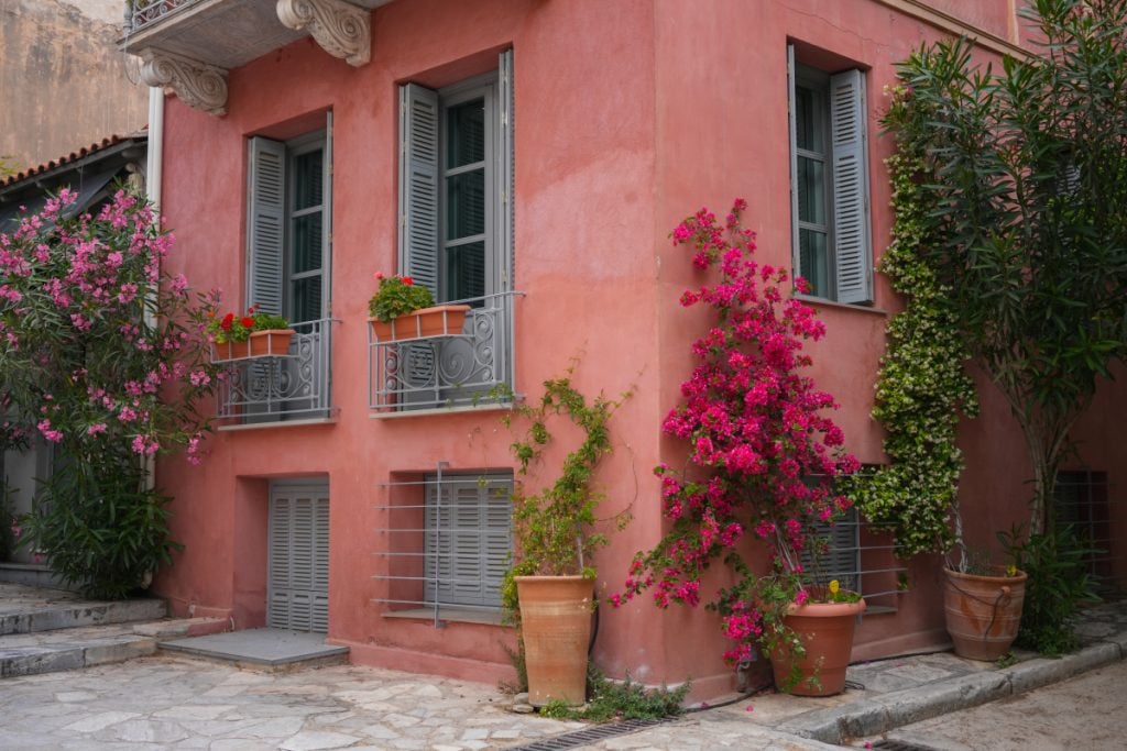 Pink Plaka house covered in flowering vines
