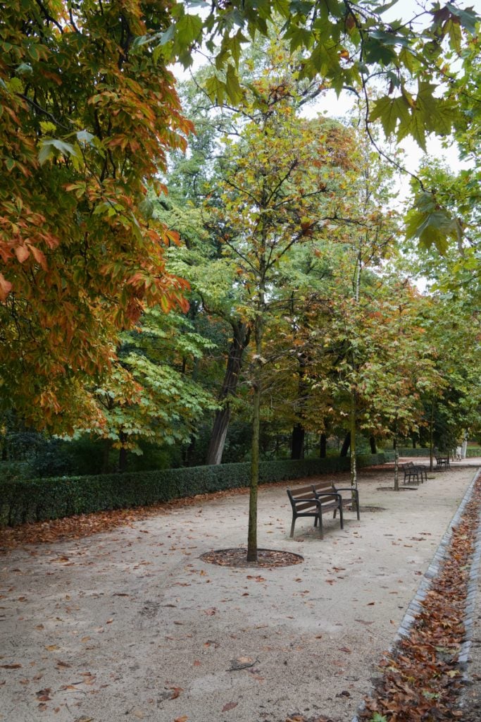 Benches along a tree-lined path in El Retiro Park