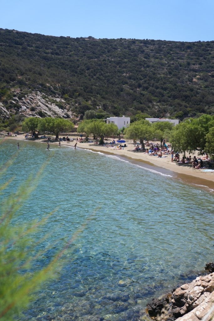 Tree-lined beach with clear water in Sifnos