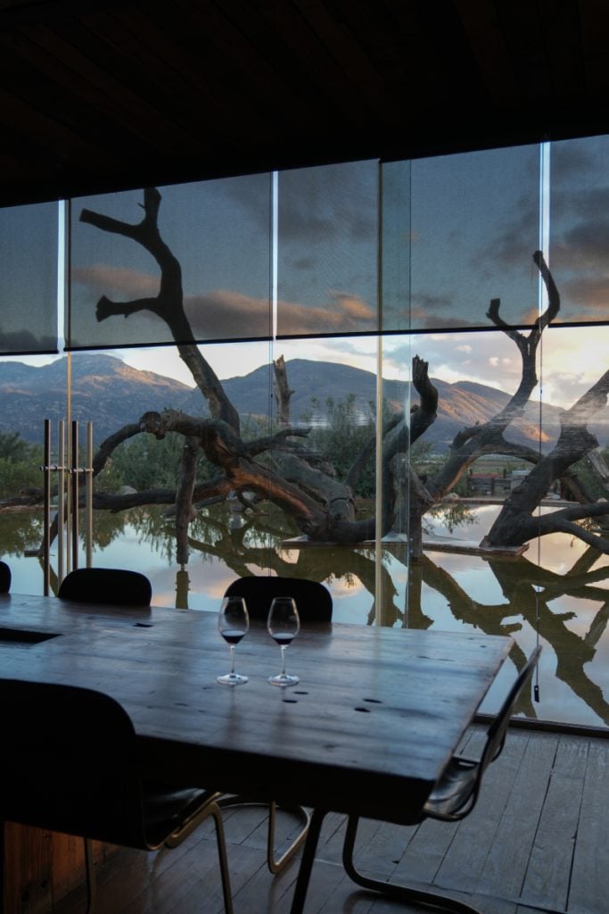 Tasting room overlooking Vinícola Bruma’s oak and reflecting pool