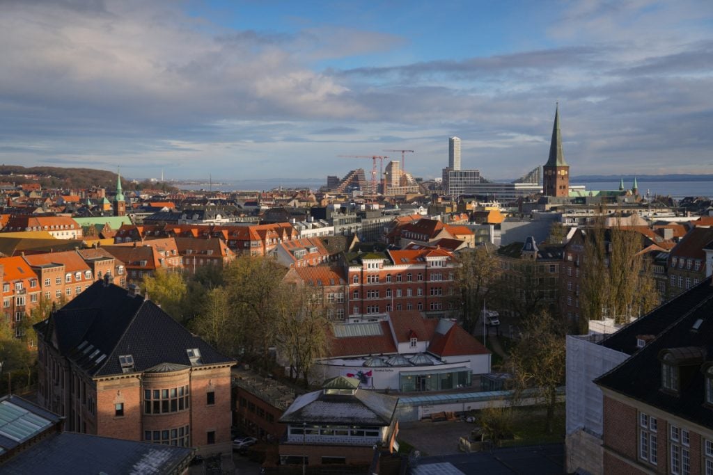 Aarhus skyline with red rooftops and a cathedral spire